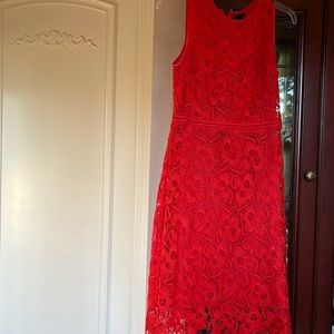 Orange crew neck dress